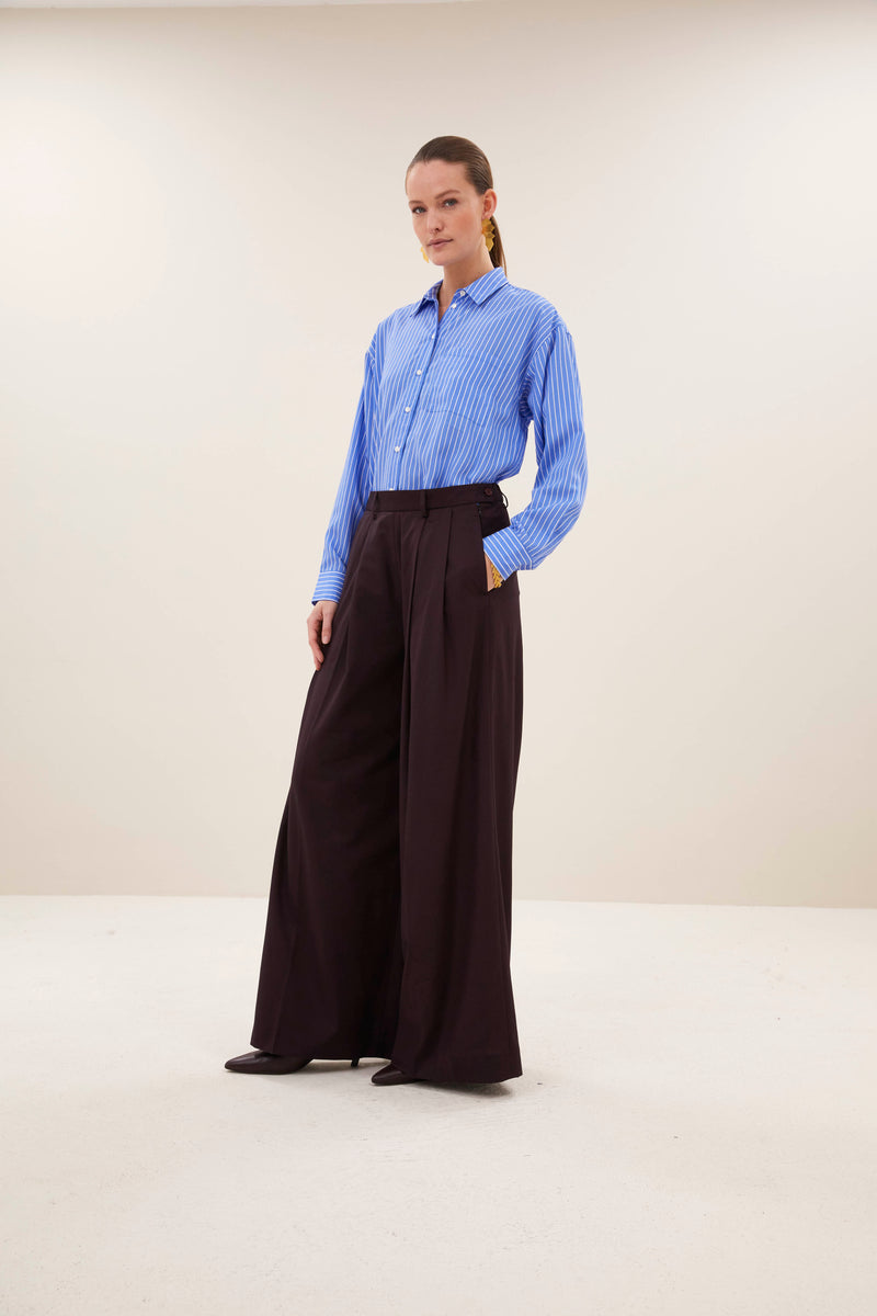 sef pants