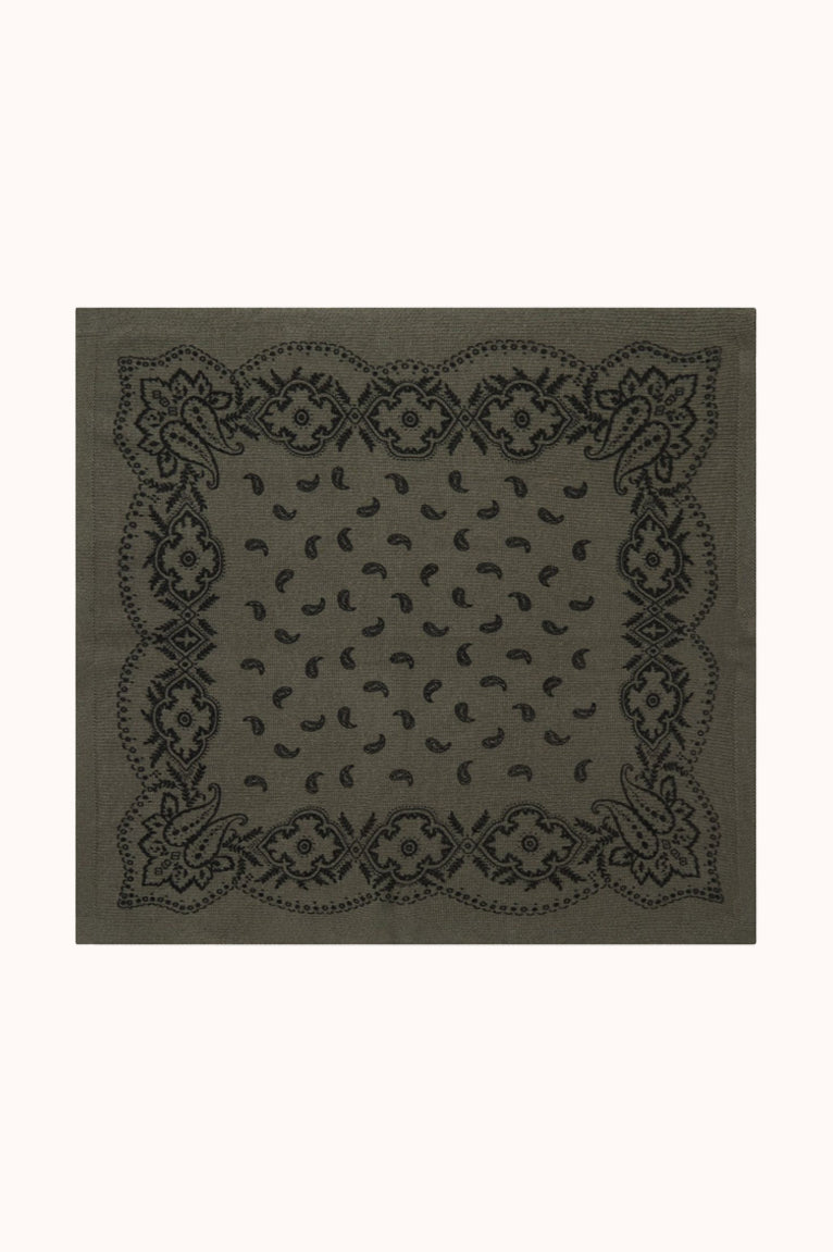 Adelina Paisley Scarf - Bruin